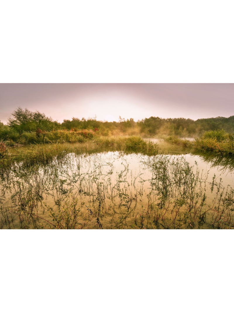 Papier peint panoramique - morning view ii - taille: 400 x 250 cm Multicolore - Kiabi