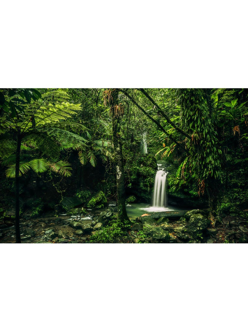 Papier peint panoramique - my hidden treasure - taille: 400 x 250 cm Multicolore - Kiabi