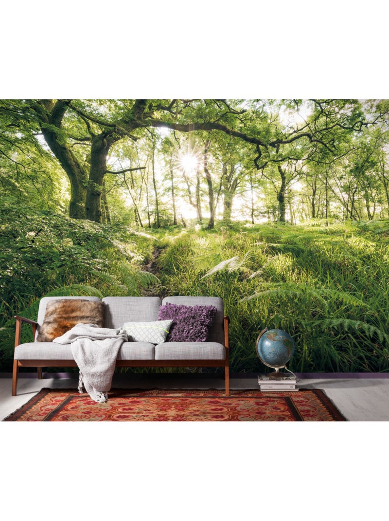 Papier peint panoramique - mystic path - taille: 400 x 250 cm Multicolore - Kiabi