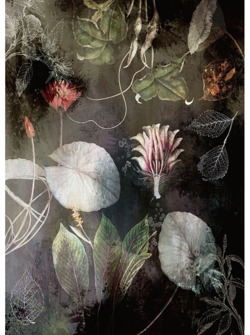 Papier peint panoramique - night flowers - taille: 200 x 280 cm - Kiabi