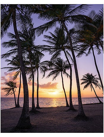 Papier peint panoramique - palmtrees on beach - taille: 200 x 250 cm