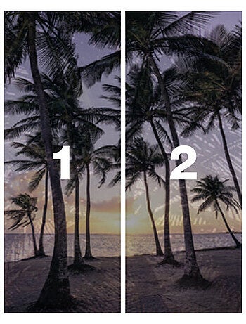 Papier peint panoramique - palmtrees on beach - taille: 200 x 250 cm