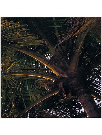 Papier peint panoramique - palmtrees on beach - taille: 200 x 250 cm