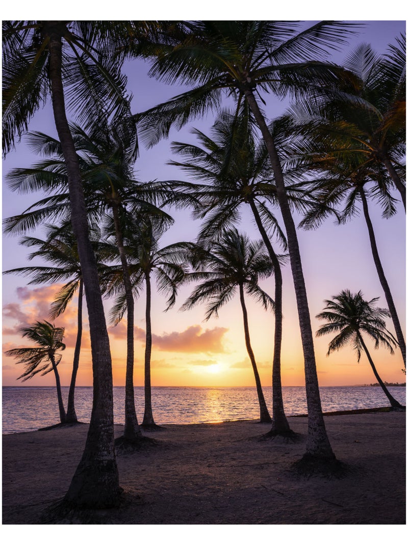 Papier peint panoramique - palmtrees on beach - taille: 200 x 250 cm Multicolore - Kiabi