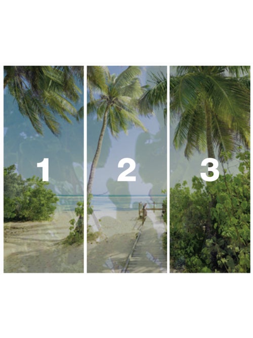Papier peint panoramique - palmy beach - taille: 300 x 250 cm - Kiabi