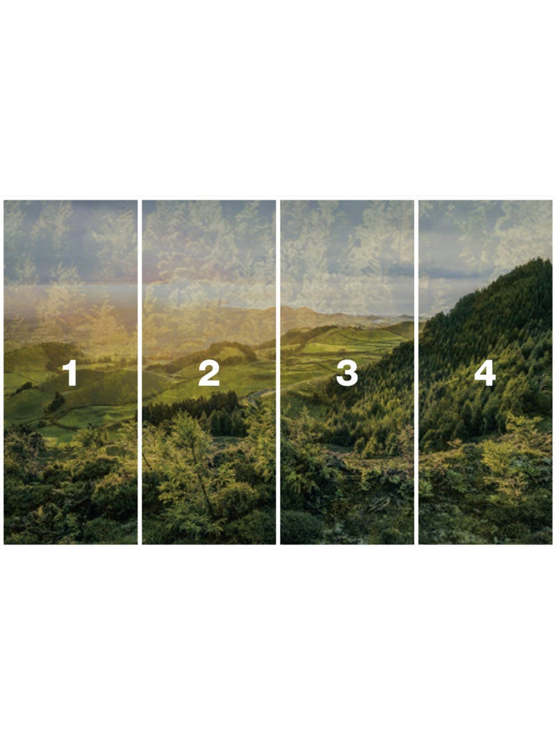 Papier peint panoramique - paradise island - taille: 400 x 250 cm Multicolore - Kiabi