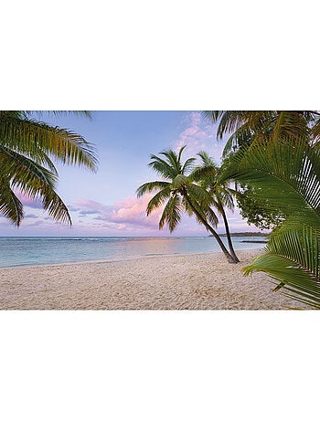 Papier peint panoramique - paradise morning - taille: 400 x 250 cm
