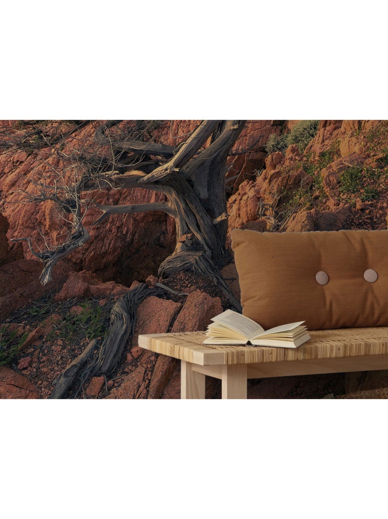 Papier peint panoramique - paradiso ii - taille: 450 x 280 cm Multicolore - Kiabi