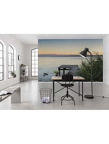 Papier peint panoramique - pastell - taille: 450 x 280 cm