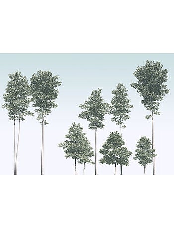 Papier peint panoramique - pines - taille: 400 x 280 cm