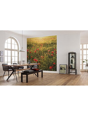 Papier peint panoramique - poppy world - taille: 250 x 280 cm