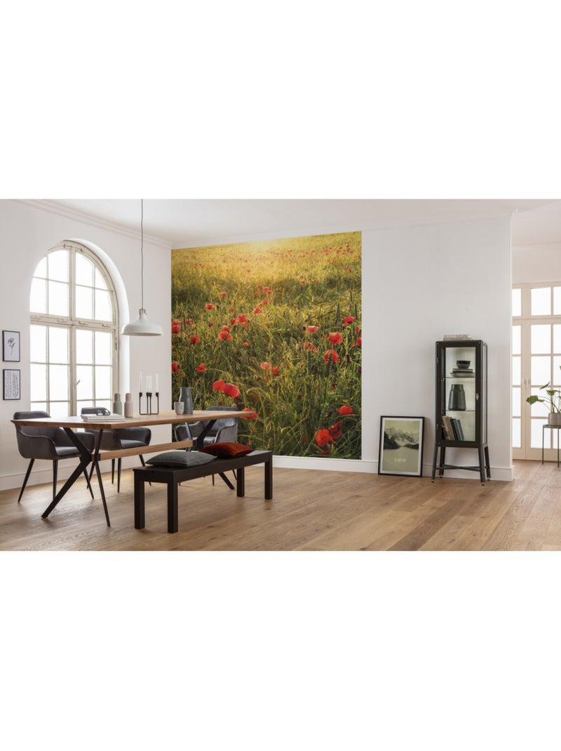 Papier peint panoramique - poppy world - taille: 250 x 280 cm Multicolore - Kiabi