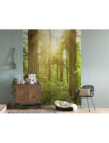 Papier peint panoramique - redwood - taille: 200 x 250 cm