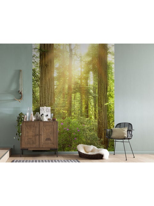 Papier peint panoramique - redwood - taille: 200 x 250 cm - Kiabi