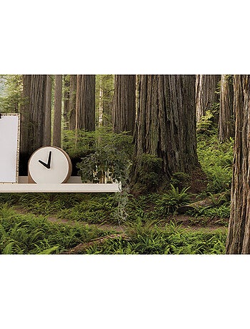 Papier peint panoramique - redwood trail - taille: 450 x 280 cm