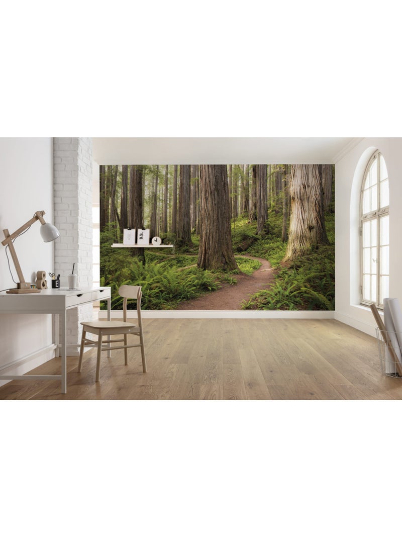 Papier peint panoramique - redwood trail - taille: 450 x 280 cm Multicolore - Kiabi