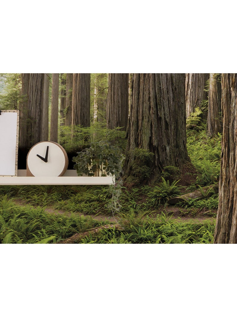 Papier peint panoramique - redwood trail - taille: 450 x 280 cm Multicolore - Kiabi