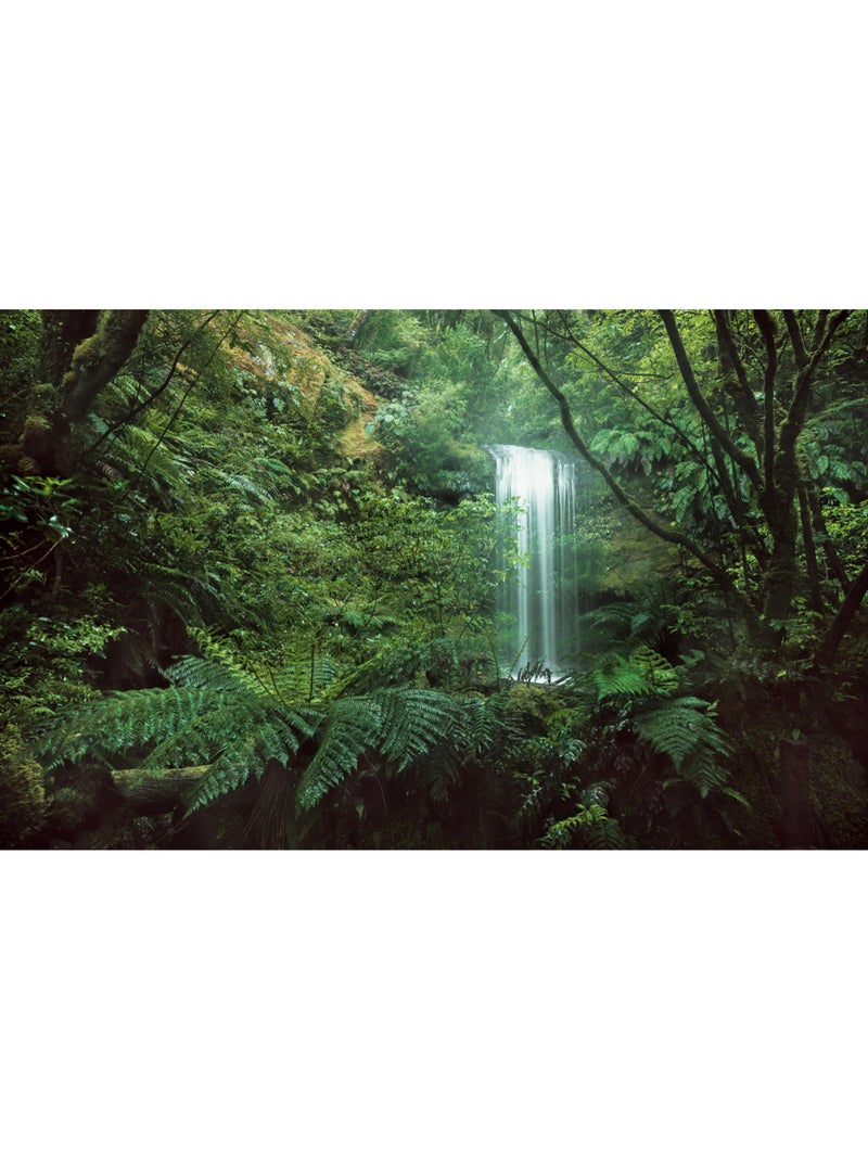 Papier peint panoramique - secret veil - taille: 450 x 280 cm Multicolore - Kiabi