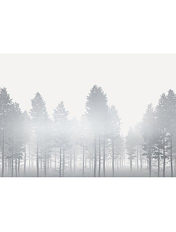 Papier peint panoramique - silver haze - taille: 400 x 280 cm