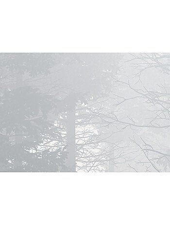 Papier peint panoramique - silver haze - taille: 400 x 280 cm