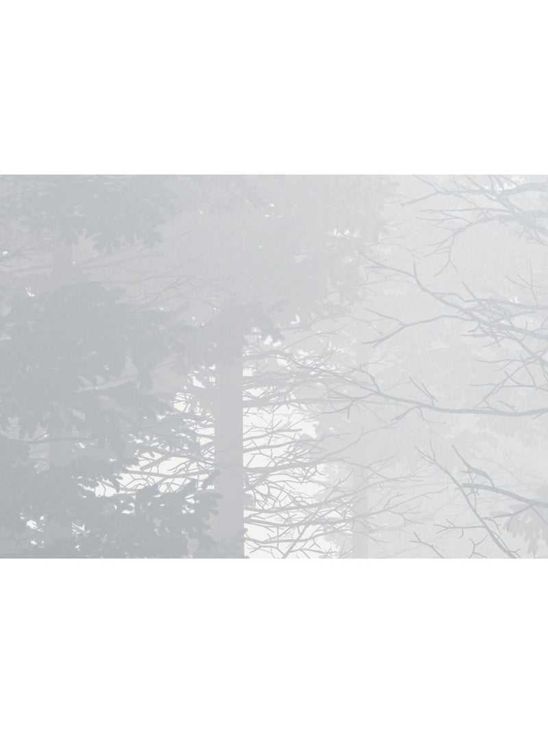 Papier peint panoramique - silver haze - taille: 400 x 280 cm Multicolore - Kiabi