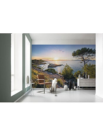 Papier peint panoramique - southern light - taille: 400 x 250 cm