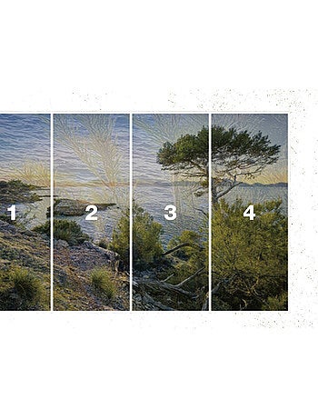 Papier peint panoramique - southern light - taille: 400 x 250 cm