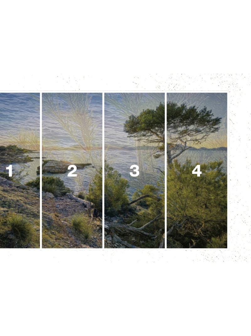 Papier peint panoramique - southern light - taille: 400 x 250 cm Multicolore - Kiabi