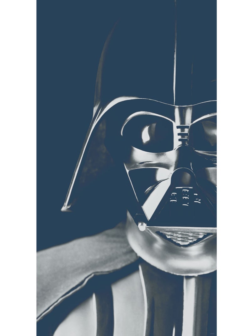 Papier peint panoramique - star wars classic icons vader - taille: 150 x 280 cm Multicolore - Kiabi