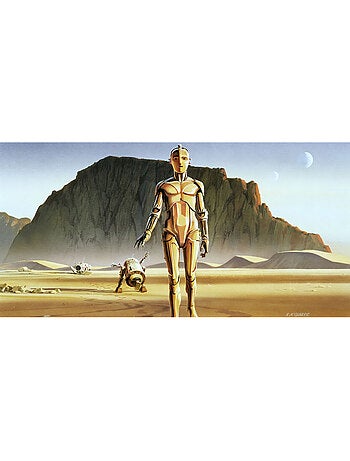 Papier peint panoramique - star wars classic rmq droids - taille: 500 x 250 cm