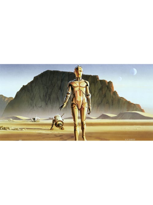 Papier peint panoramique - star wars classic rmq droids - taille: 500 x 250 cm - Kiabi Papier peint panoramique - star wars classic rmq droids - taille: 500 x 250 cm - Kiabi