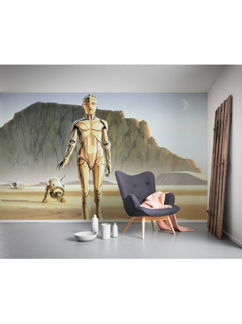 Papier peint panoramique - star wars classic rmq droids - taille: 500 x 250 cm Multicolore - Kiabi
