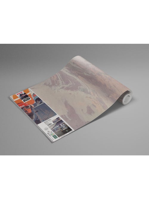 Papier peint panoramique - star wars classic rmq yavin hangar - taille: 500 x 250 cm - Kiabi Papier peint panoramique - star wars classic rmq yavin hangar - taille: 500 x 250 cm - Kiabi