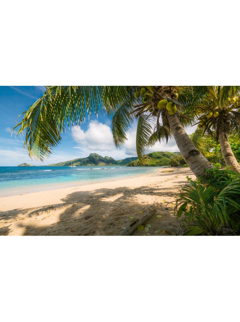 Papier peint panoramique - strandoase südsee - taille: 450 x 280 cm Multicolore - Kiabi