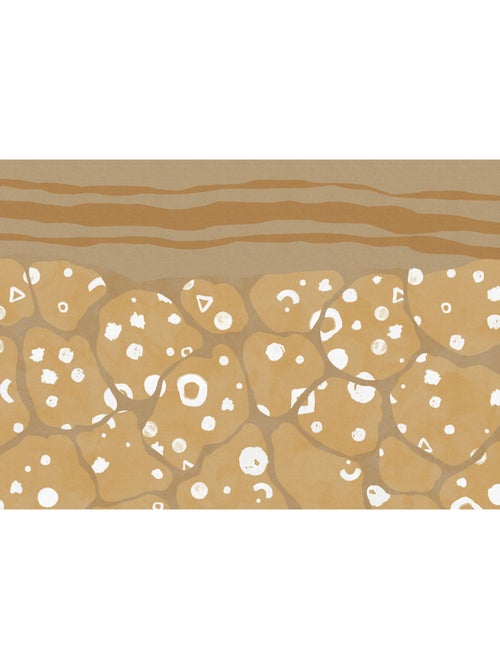 Papier peint panoramique - subsoil - taille: 400 x 280 cm - Kiabi