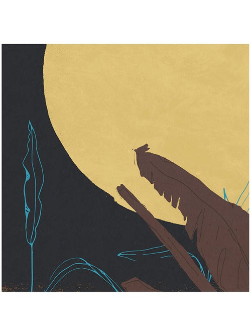 Papier peint panoramique - supermoon - taille: 250 x 280 cm - Kiabi