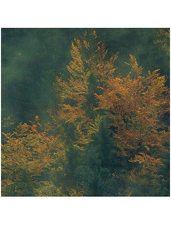 Papier peint panoramique - tales of the carpathians - taille: 300 x 200 cm