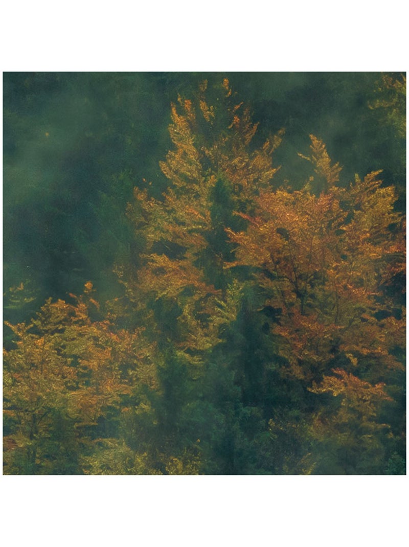 Papier peint panoramique - tales of the carpathians - taille: 300 x 200 cm Multicolore - Kiabi