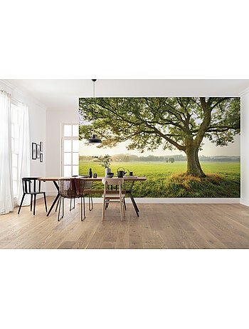 Papier peint panoramique - the magic tree - taille: 450 x 280 cm