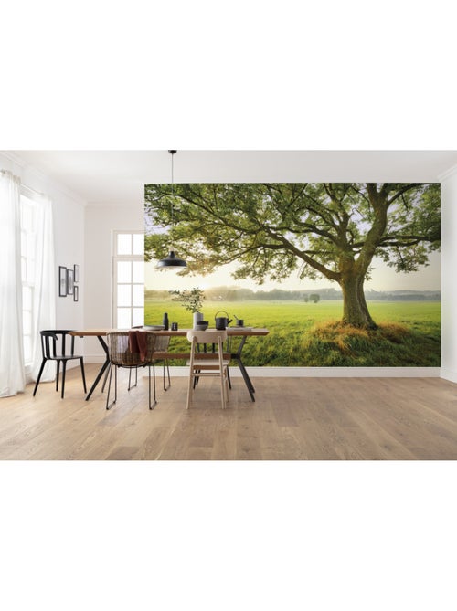 Papier peint panoramique - the magic tree - taille: 450 x 280 cm - Kiabi Papier peint panoramique - the magic tree - taille: 450 x 280 cm - Kiabi