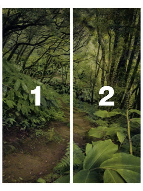Papier peint panoramique - the path - taille: 200 x 250 cm - Kiabi
