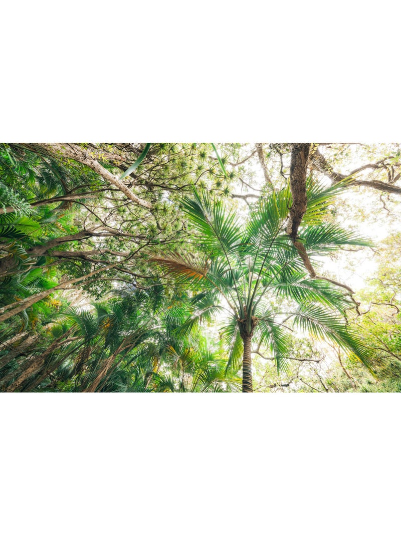 Papier peint panoramique - touch the jungle - taille: 450 x 280 cm Multicolore - Kiabi