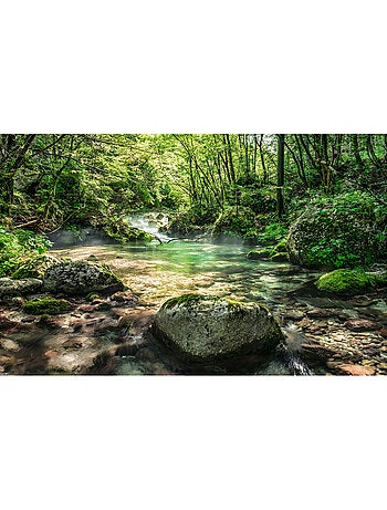 Papier peint panoramique - tranquil pool - taille: 400 x 250 cm