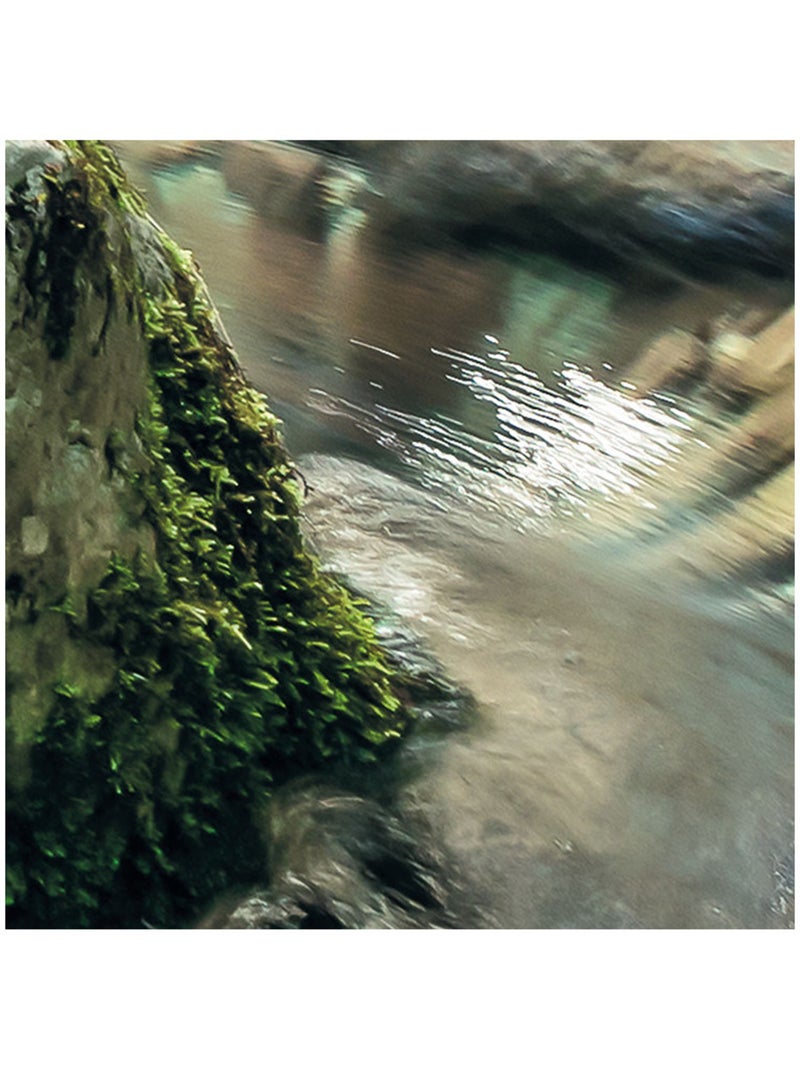Papier peint panoramique - tranquil pool - taille: 400 x 250 cm Multicolore - Kiabi