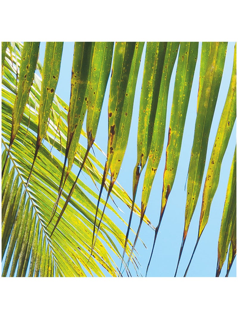 Papier peint panoramique - under the palmtree - taille: 200 x 250 cm Multicolore - Kiabi