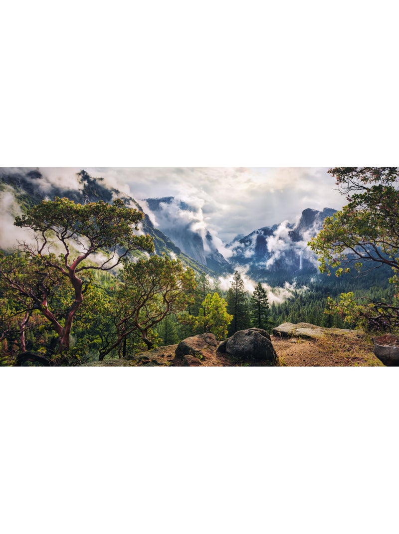 Papier peint panoramique - unique paradise - taille: 200 x 100 cm Multicolore - Kiabi
