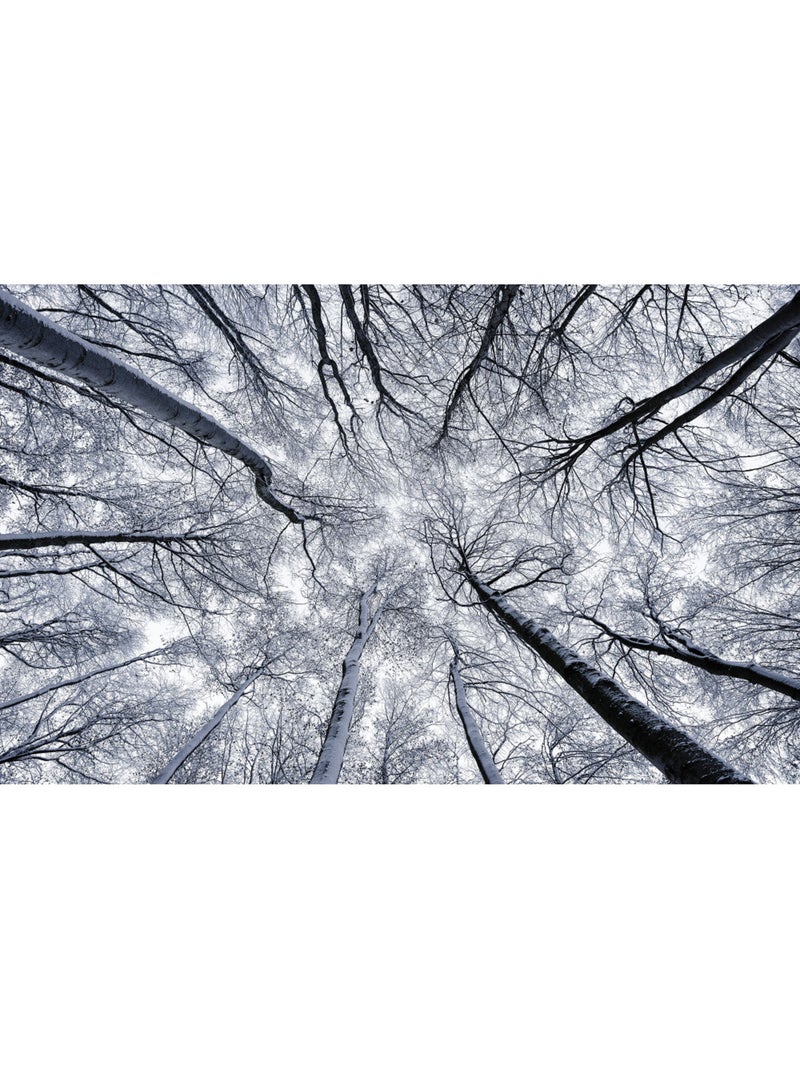Papier peint panoramique - up - taille: 400 x 250 cm Multicolore - Kiabi