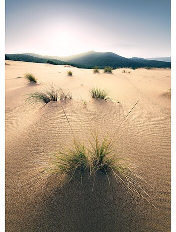 Papier peint panoramique - vivid dunes - taille: 200 x 280 cm