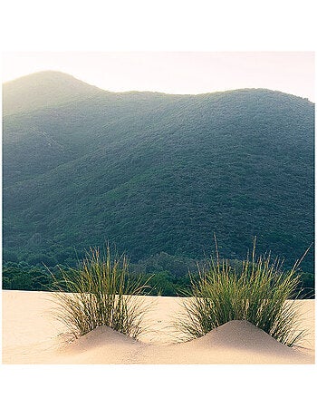 Papier peint panoramique - vivid dunes - taille: 200 x 280 cm