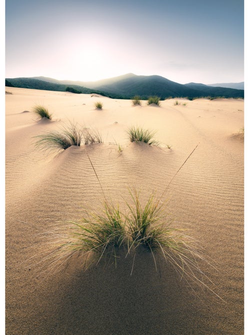 Papier peint panoramique - vivid dunes - taille: 200 x 280 cm - Kiabi